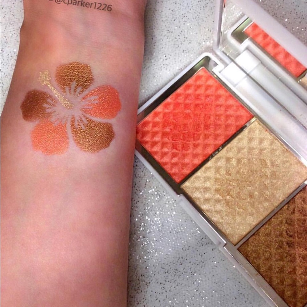 Brand new! Bronze and brighten cheek palate
